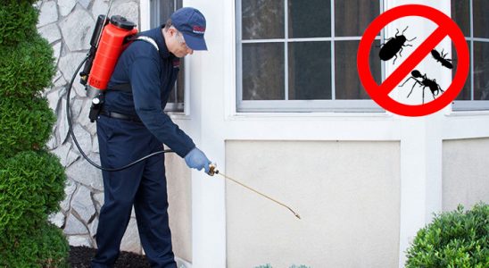 Doğanhisar Tahtakurusu İlaçlama böcek ilaçlama ve haşere kontrolü — ilaclama-tr.com